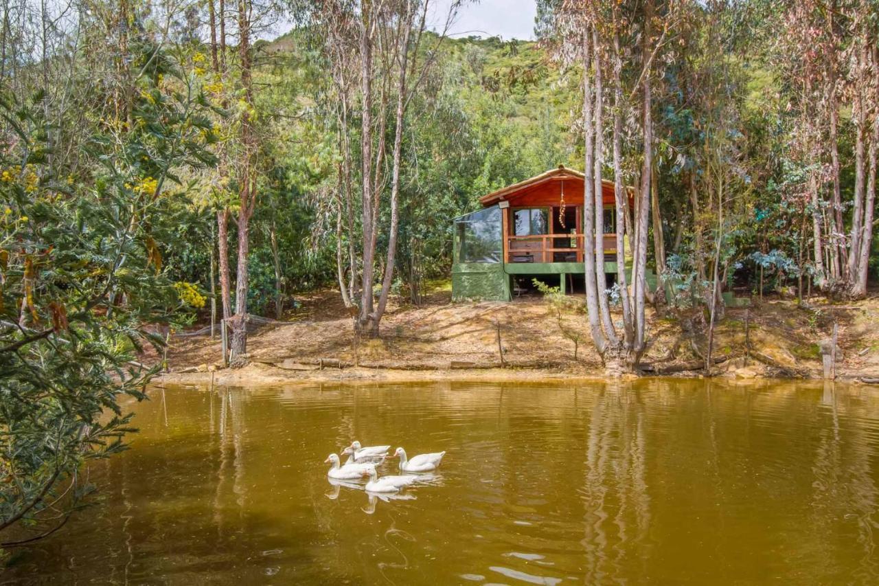 Cabana Tipo Glamping Savieza Life Experience Nemocon 외부 사진